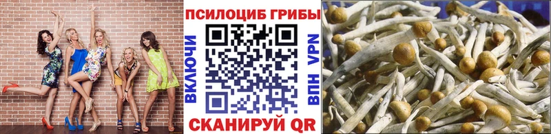 Купить где  Куйбышев  Псилоцибиновые грибы Magic Shrooms 