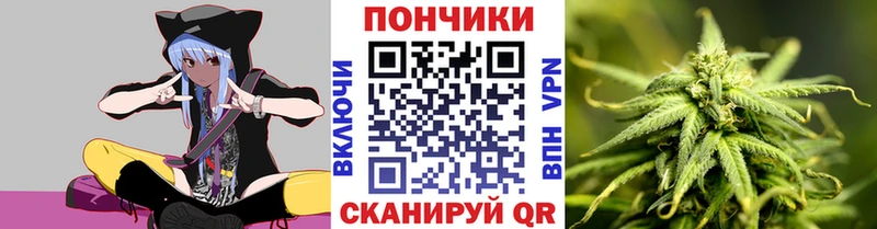 Каннабис семена  Купить закладки  Куйбышев 